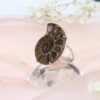 Anillo Fosil Amonita