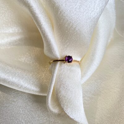 Anillo ciclo