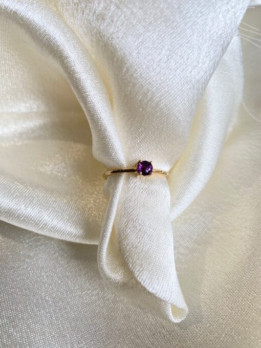Anillo ciclo