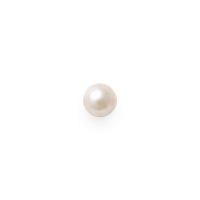 Perla